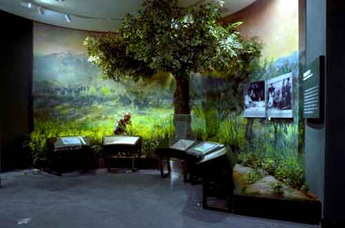 相映生輝 洛迪硅藻泥入駐隆平水稻博物館 相映生輝 洛迪硅藻泥入駐隆平水稻博物館