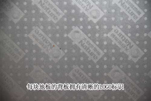 大自然地板心心橡印8大要點測評