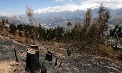 木材漲!運費漲!人工漲!座墊玻璃漲!對不起，我們也要漲價了!!!