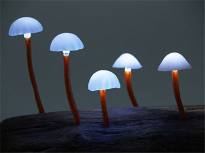 品牌燈飾立足科技之上 創新引領品質生活