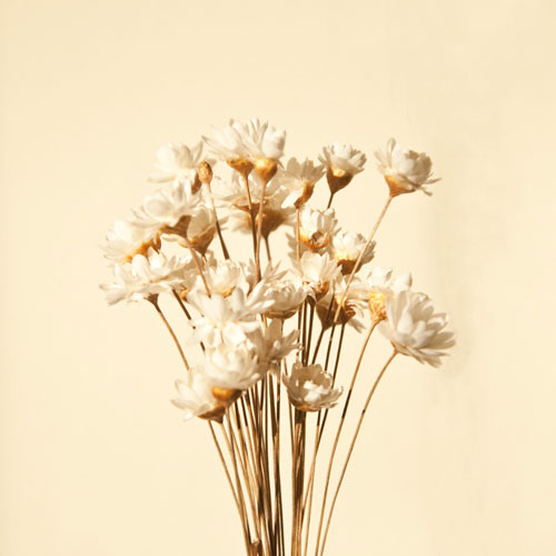 陶瓷花瓶在家居擺設票選中穩居第一位