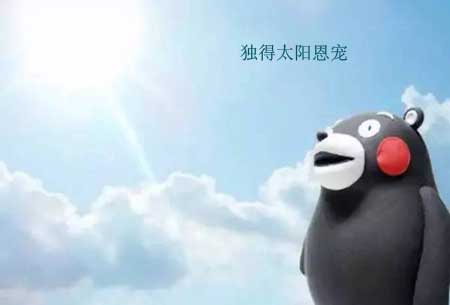 生態板企業也渴望“獨得恩寵” 那應該怎么做?