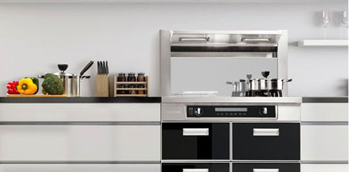 集成環保灶難以普及開來受多重因素影響