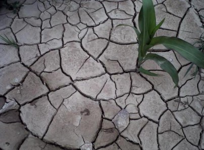 解決水資源浪費(fèi)刻不容緩 安華啟動智能衛(wèi)浴“節(jié)水時(shí)代”