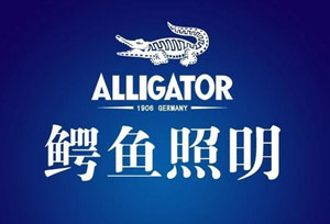 2017家居燈飾照明十大品牌排行榜 2017家居燈飾照明十大品牌排行榜