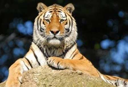 選個壁掛爐居然跟業主的性格有關？