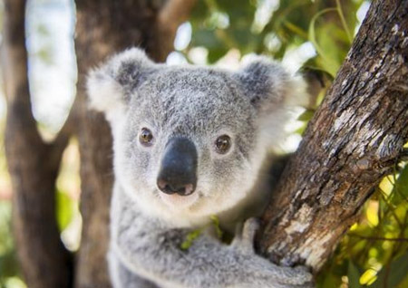 選個壁掛爐居然跟業主的性格有關？