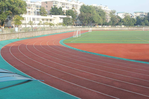 知識講堂：馬路VS塑膠跑道 初跑者怎樣抉擇？