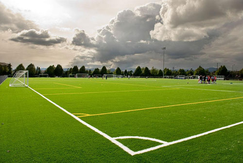 我們為什么需要人工草坪?人工草坪有什么特點?