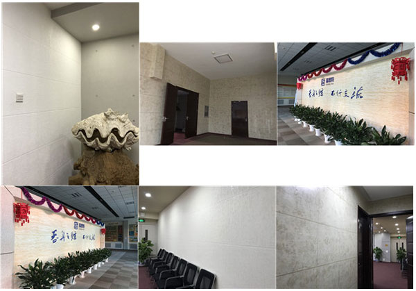 富思特內墻藝術靈感漆為您刷新墻面魅力值