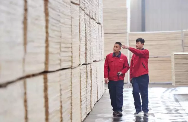 鵬鴻木業趙玉林揭秘品牌背后的強大凝聚力和旺盛生命力