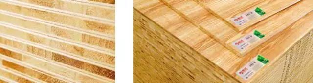 鵬鴻木業趙玉林揭秘品牌背后的強大凝聚力和旺盛生命力