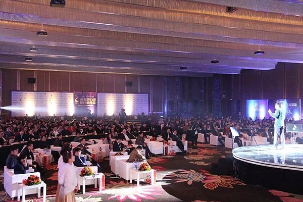 樹行業典范 華藝勇奪“2017中國燈飾照明行業領袖品牌”