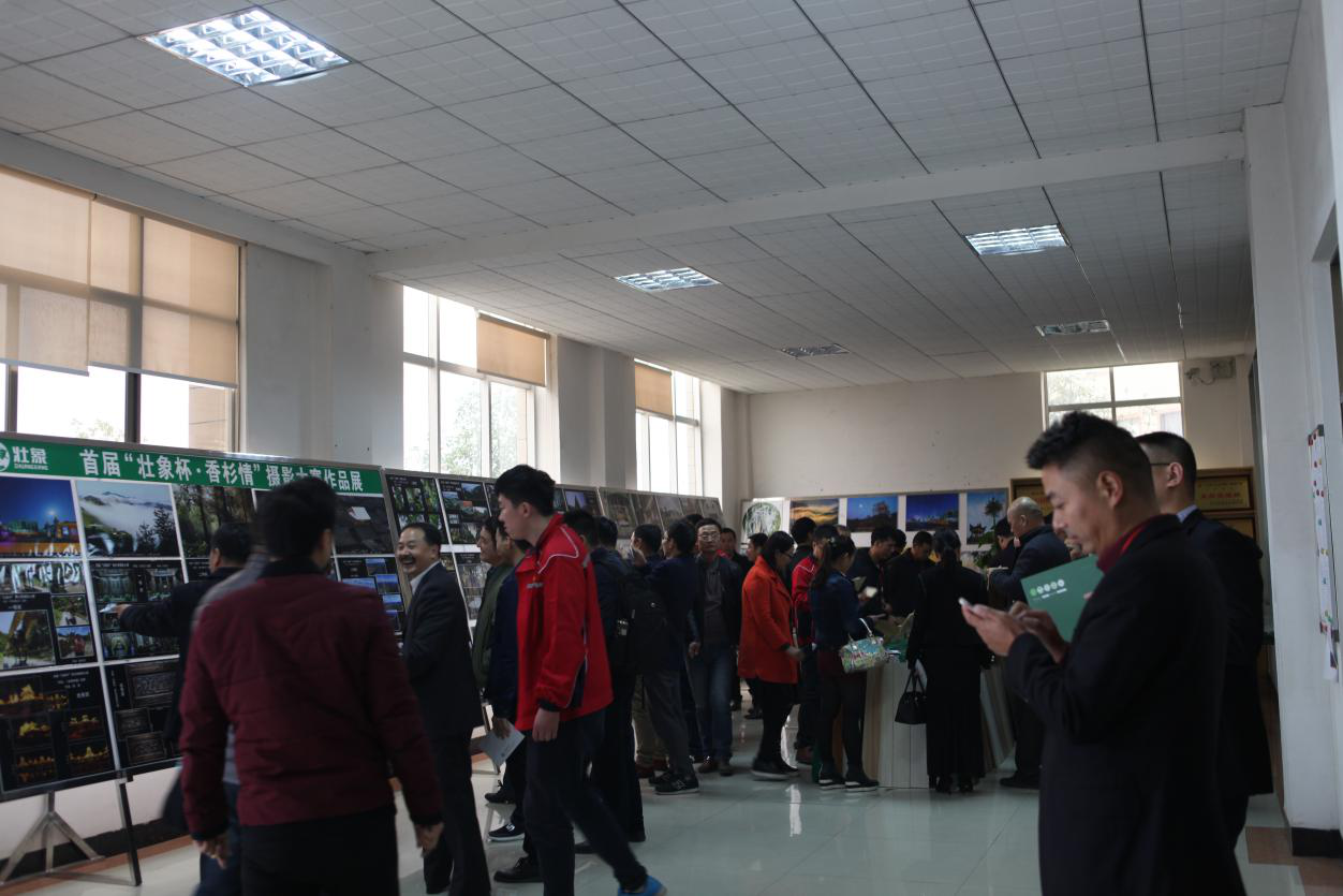 生態板品牌日記|壯象香杉標桿引行業代表參觀學習