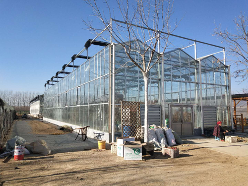 品牌案例|利普曼空氣能之農業園花卉基地“煤改空氣源”