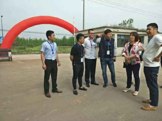 品牌日記|碧桂園集團副總楊麗興女士蒞臨九重門業考察指導