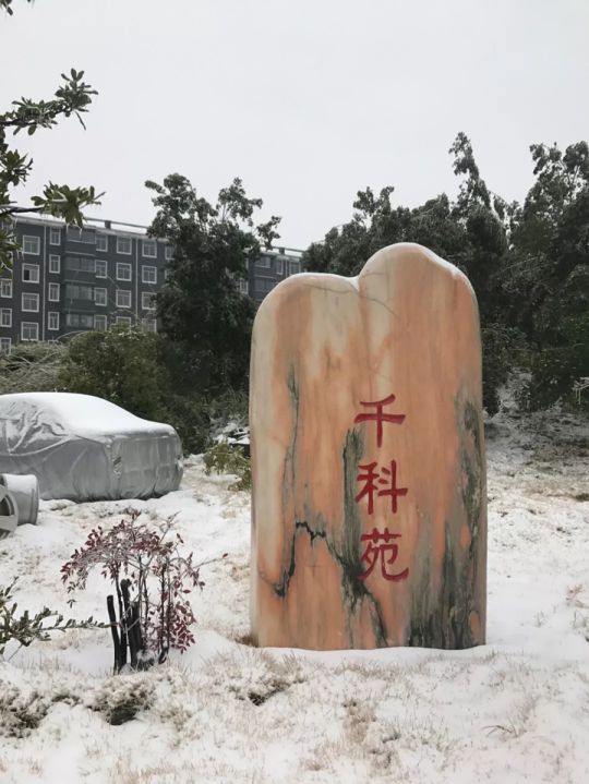 千科潘遠宏：智能產品、智慧營銷一手抓，智能終端是品牌最后浪潮