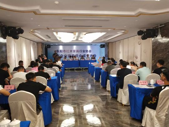 品牌榮譽|雙洋紅木董事長王海洋榮升東陽市青年企業(yè)家委員會主任 品牌榮譽|雙洋紅木董事長王海洋榮升東陽市青年企業(yè)家委員會主任