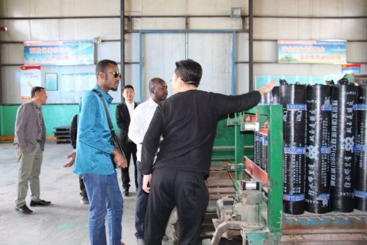 蘇丹共和國阿里董事長與雙玉防水集團達成戰略合作協議