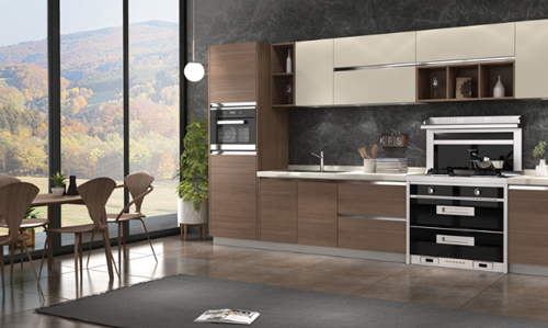 推行標準化發展 集成灶企業發展道路才可越來越寬