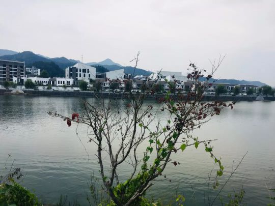 火星人集成灶銷售部9月績溪會議:我們是最棒的團(tuán)隊! 火星人集成灶銷售部9月績溪會議:我們是最棒的團(tuán)隊!