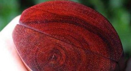 紅木家具中的小葉紫檀大葉紫檀，一字之差，二者有何不同？