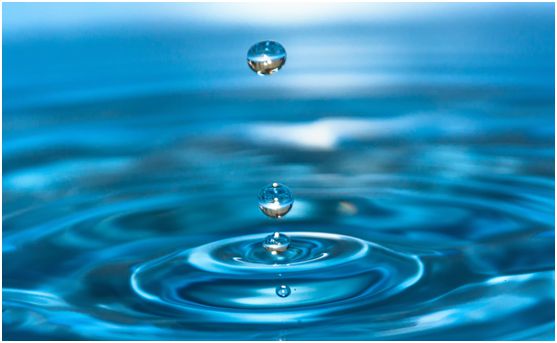 百慕水性木器漆：環保，一直都在我們身邊