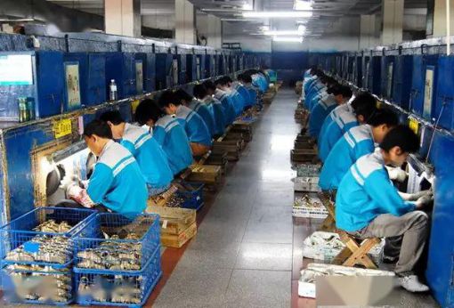 品牌招商|輝煌廚衛(wèi)7大優(yōu)勢,帶你快速掘金! 品牌招商|輝煌廚衛(wèi)7大優(yōu)勢,帶你快速掘金!