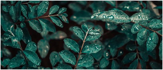 潮濕天氣，高美抽濕機(jī)除濕調(diào)溫守護(hù)健康