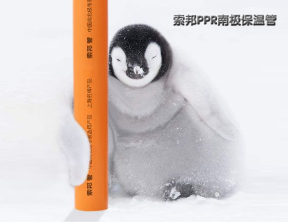 品牌產品|索邦PPR南極保溫管，企鵝寶寶最愛的高端管材