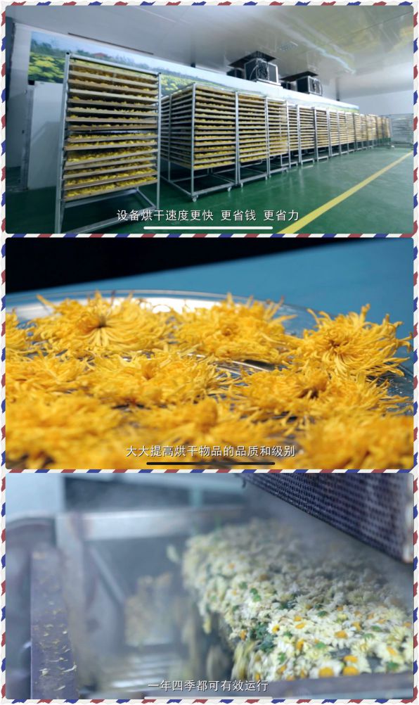 品牌發展|24年品牌積淀，舒量打造行業空氣能烘干產品領導者