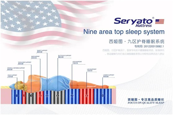 圖發展 贏未來：破局2020，西婭圖抓住新機遇!