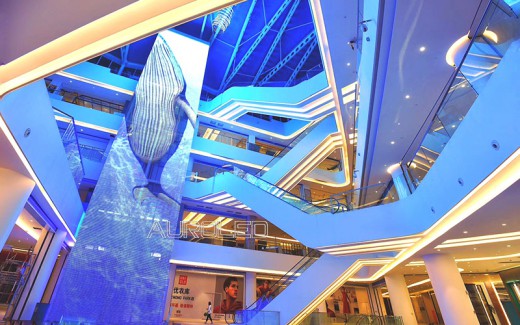 案例合集,奧蕾達LED透明屏將觀光電梯變得既有趣又好玩 案例合集,奧蕾達LED透明屏將觀光電梯變得既有趣又好玩