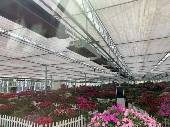 岳西大觀園12000㎡花卉大棚采用格美粵空氣源熱泵,三年無故障運行 岳西大觀園12000㎡花卉大棚采用格美粵空氣源熱泵,三年無故障運行