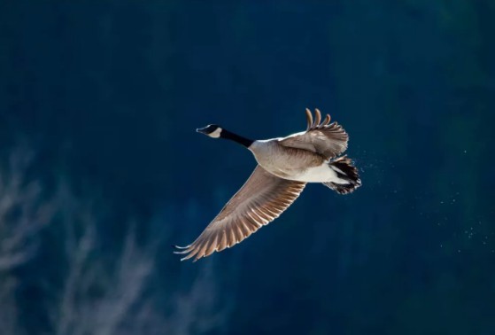 高顏值超實用的健康神器負離子空氣凈化器，送禮太有排面