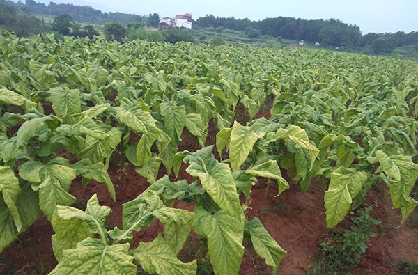 成都鼓勵使用空氣能熱泵，同益強勢助力 