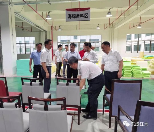 廣東省林業廳領導到五華紅木產業園進行參觀考察 廣東省林業廳領導到五華紅木產業園進行參觀考察