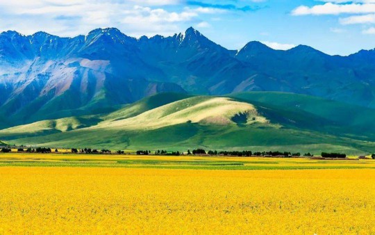 有需求的地方，就有科龍中央空調!