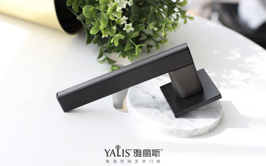 執(zhí)手鎖結(jié)構(gòu)到底是怎樣的,雅麗斯教你認(rèn)識(shí)執(zhí)手鎖 執(zhí)手鎖結(jié)構(gòu)到底是怎樣的,雅麗斯教你認(rèn)識(shí)執(zhí)手鎖