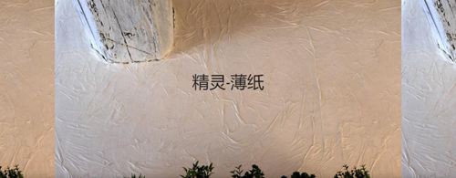 森尼迪克藝術(shù)涂料攜帶150年的浪漫品牌，來到中國(guó)誠(chéng)招加盟