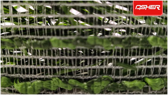 亞設(shè)體育發(fā)布ENOCH以諾真假混織草坪，或?qū)⒁袠I(yè)趨勢(shì)