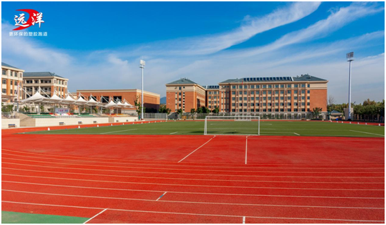 遠洋體育四大核心優勢，邀您共赴商業藍海