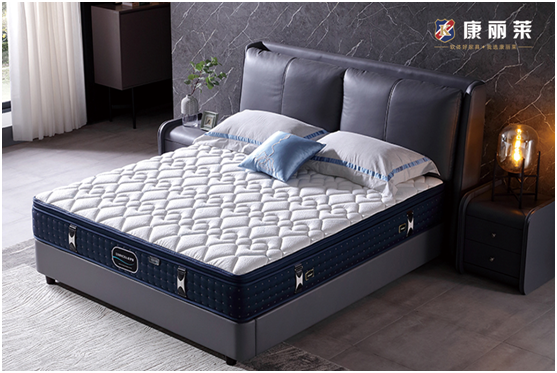 康麗萊匠心探索之道：匠藝有道，風格自造