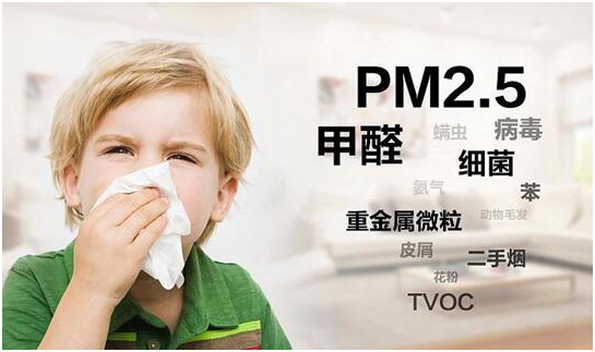 綠樹漆|“凈味呼吸”系列漆,開啟家居新“凈”界